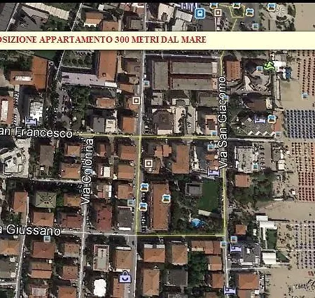 San Francesco 15 *